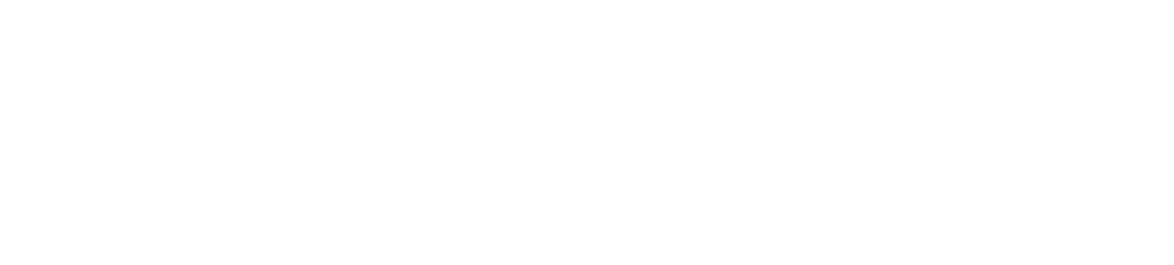 Agent Access Manager